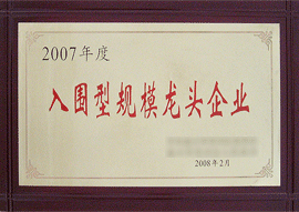 龍頭企業(yè),鋼結(jié)構(gòu)廠家